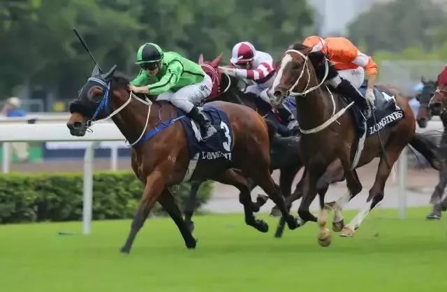 百家号:香港期期准资料大全免费-埋汰是什么意思