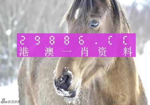 百度平台:澳门一肖一码100%精准王中王-镜客眼镜怎么样